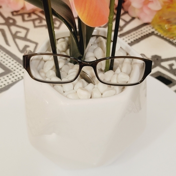 COACH NUALA 2019 Brown Eyeglasses Frames